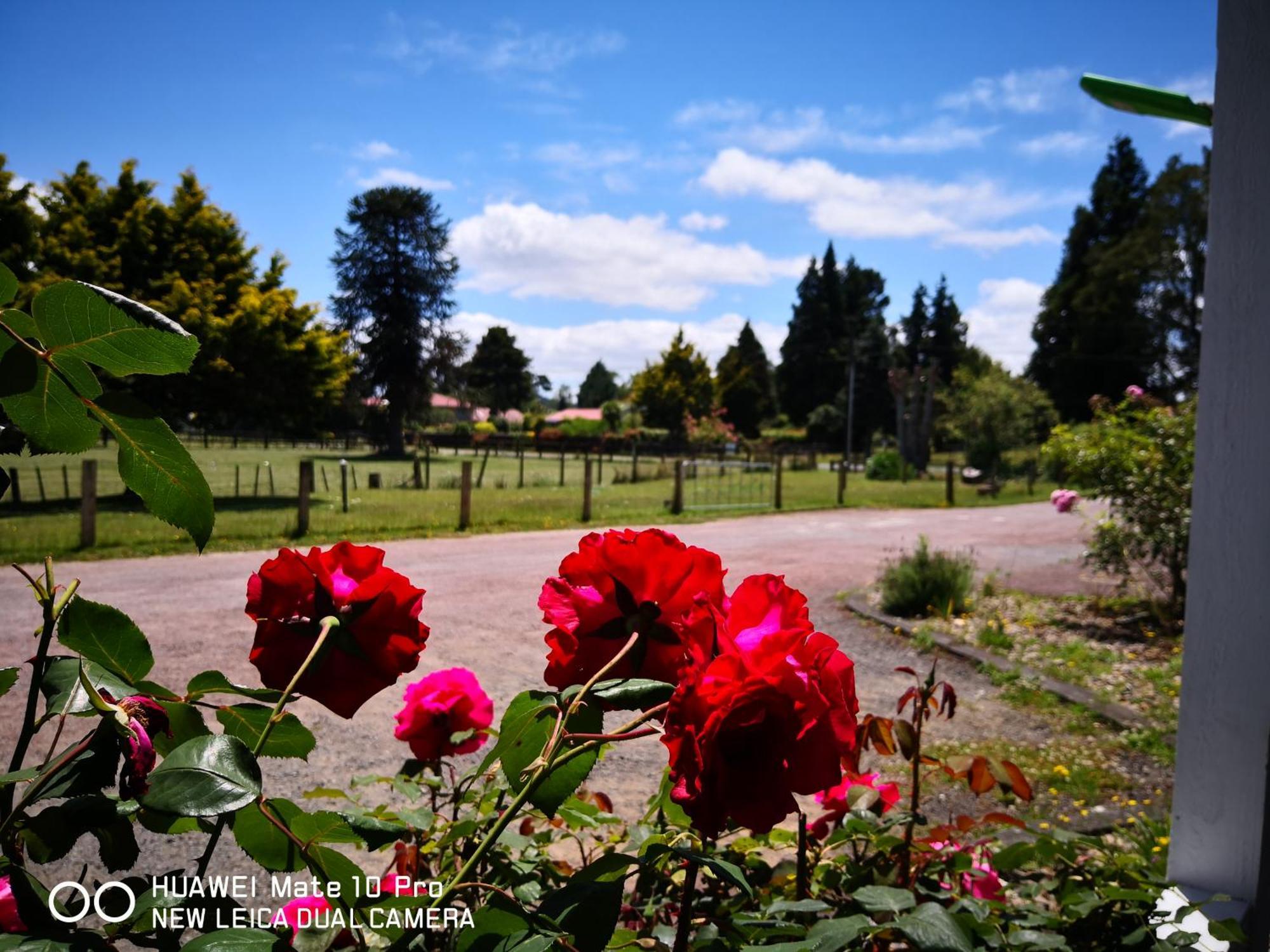 Amisfield Motel Tokoroa Esterno foto