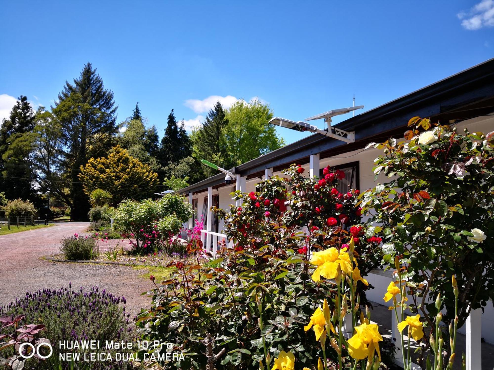 Amisfield Motel Tokoroa Esterno foto